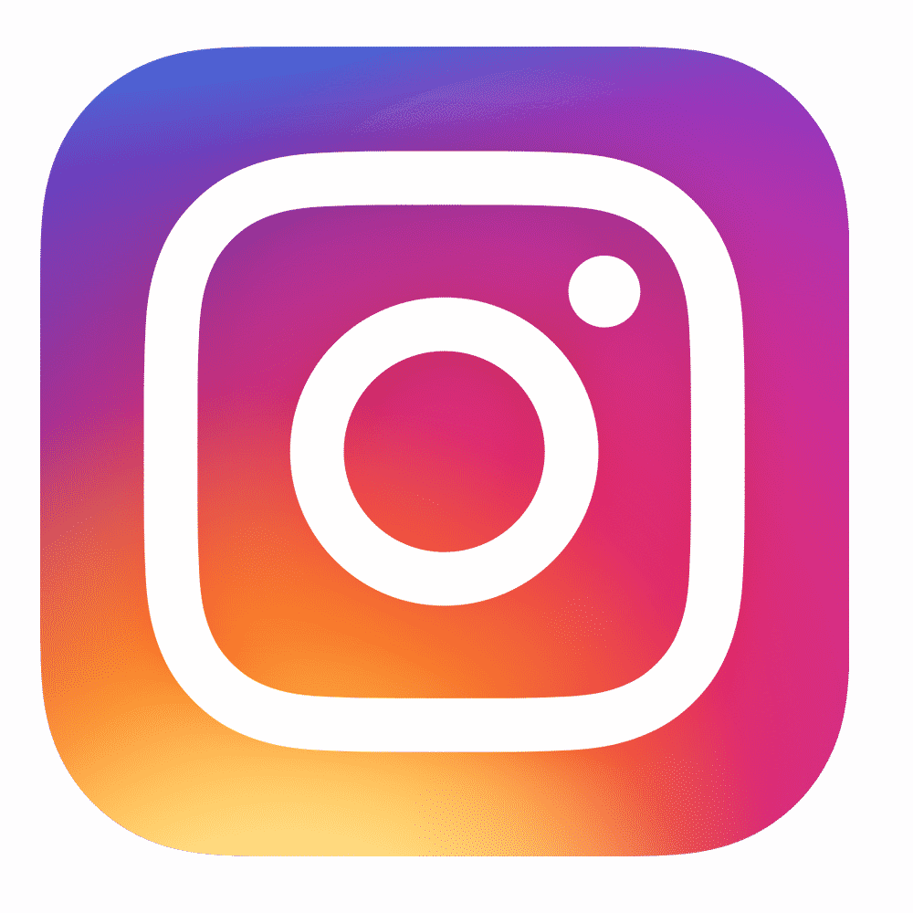 Instagram Logo Neutral Background